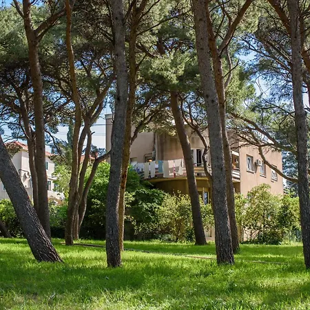 Bed & Breakfast Location Split