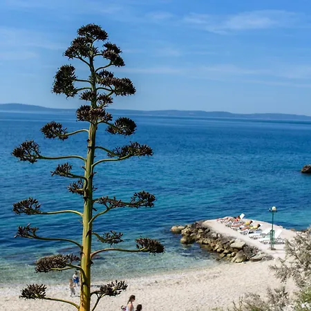 Alojamento de Acomodação e Pequeno-almoço Location